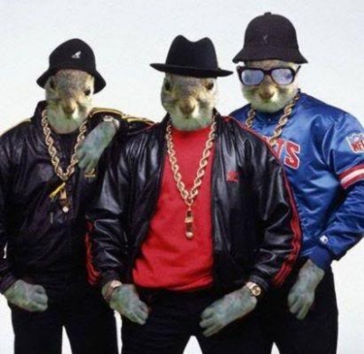 Picture of squirrels dressed as rappers