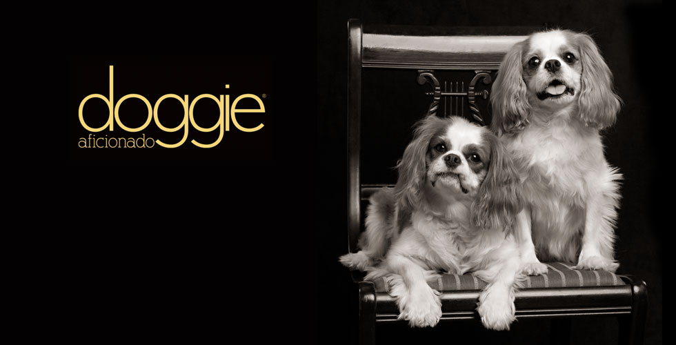 Voted Best Dog Photographer 2010 by Doggie Aficionado Magazine!