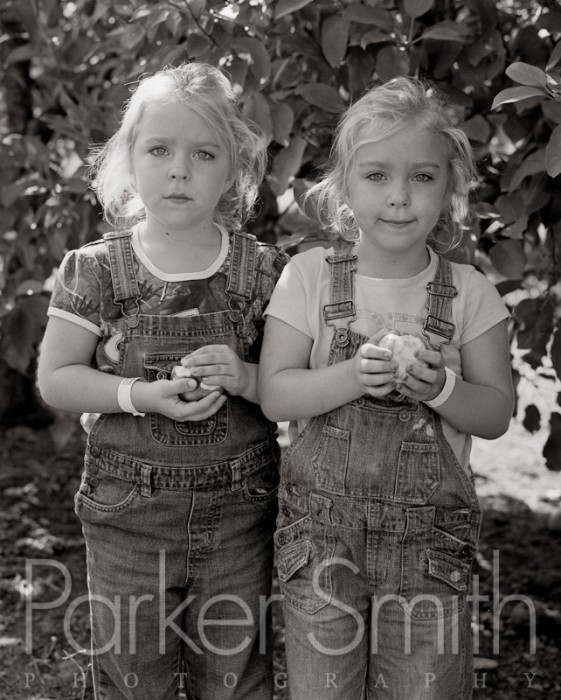 Twin girls in apple orchard