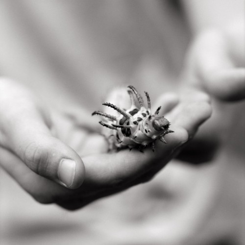 Parker-Smith_Jubilee-21